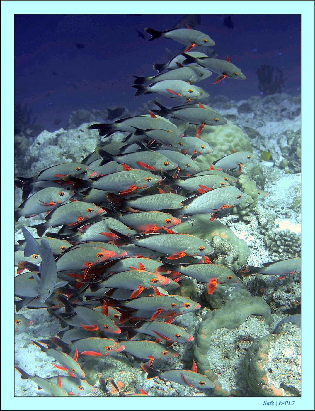 2023 - 07 - Sandies Bathala - 176